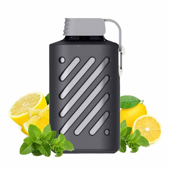 vozol-gear-10000-lemon-mint